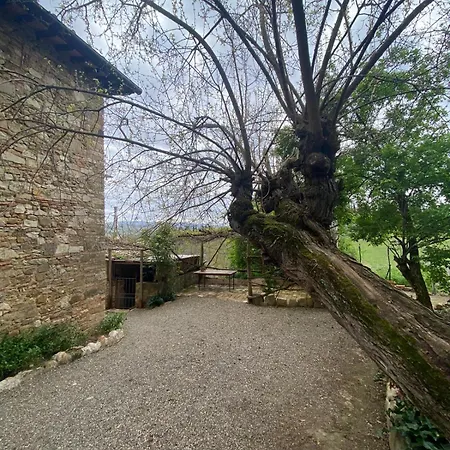 Гостевой дом Campora House