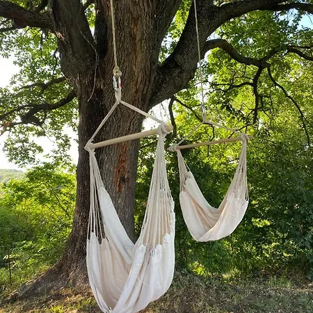 Campora House ゲストハウス