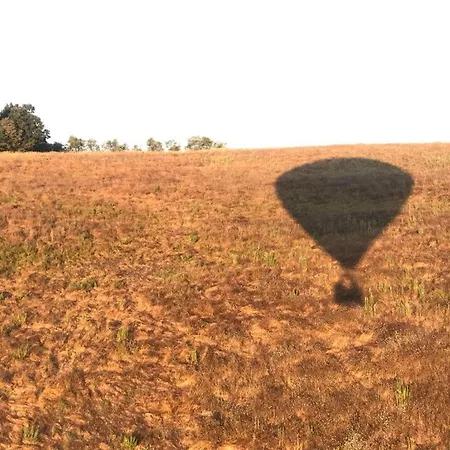 ゲストハウス Campora House 3*