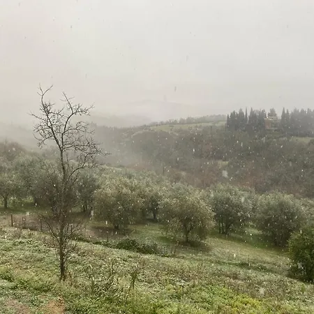 ゲストハウス Campora House 3*